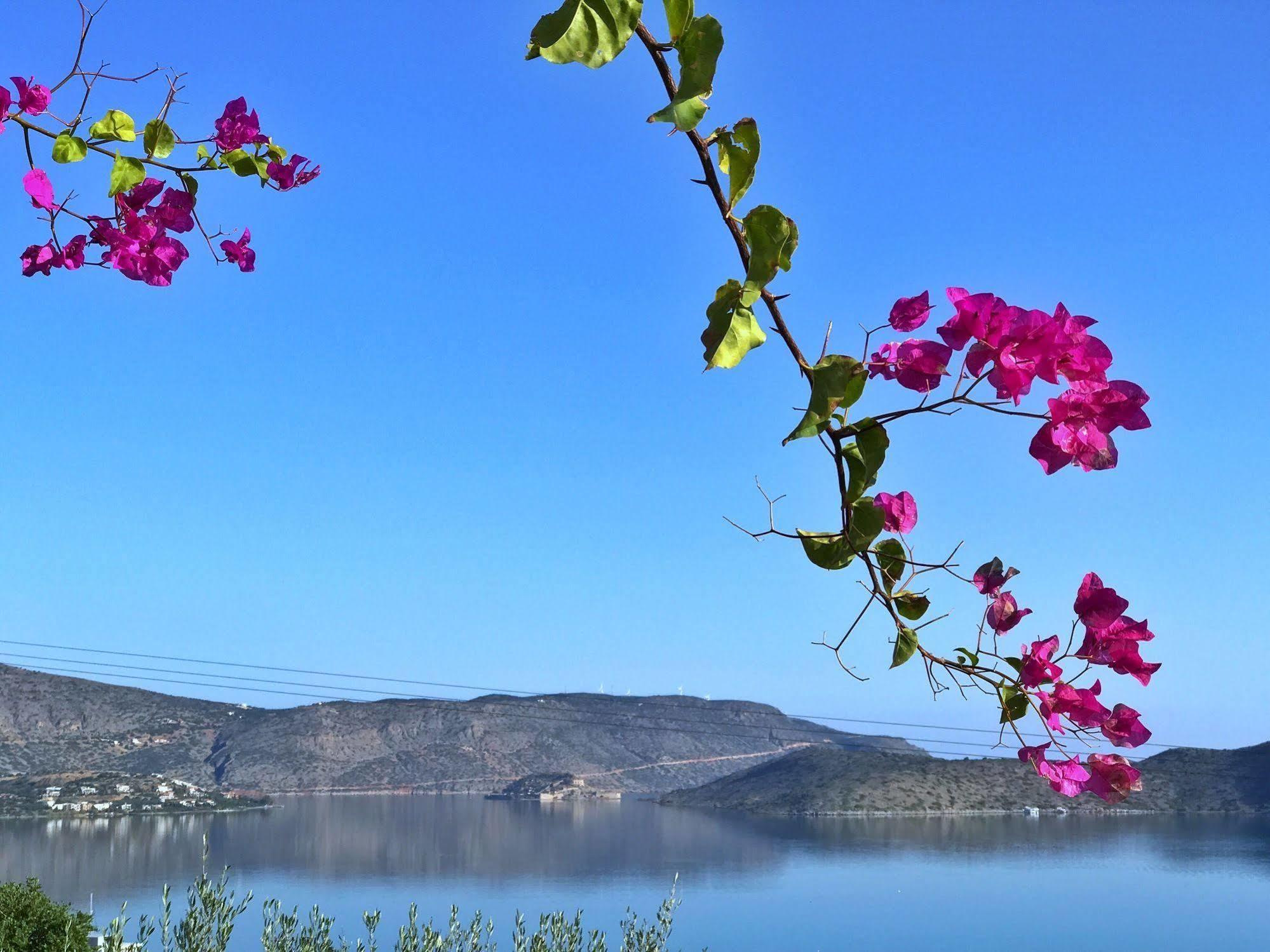 Heights (adults Only) 3* Elounda (Crete)